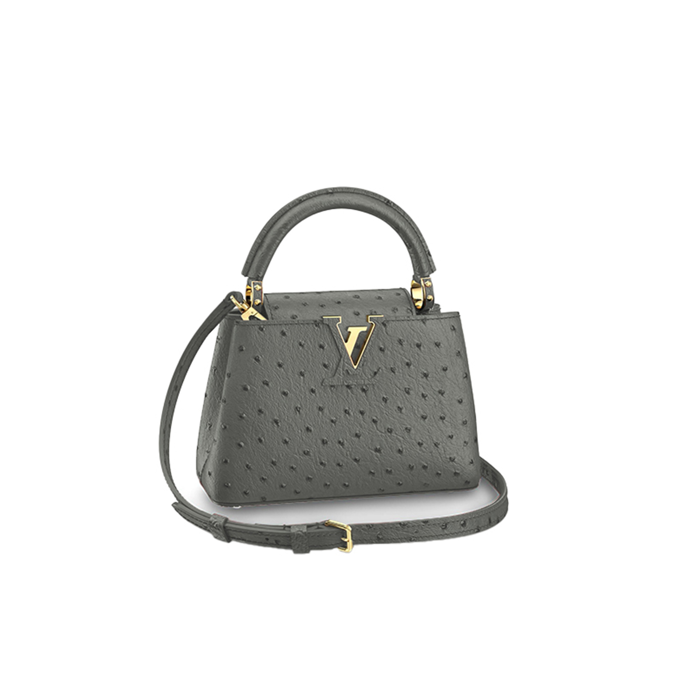 LOUIS VUITTON CAPUCINES MINI M95509 (21*14*8cm) 
